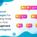 more traffic and engagement on Instagram by socinator