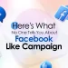 Heres What No One Tells You About Facebook Like Campaign