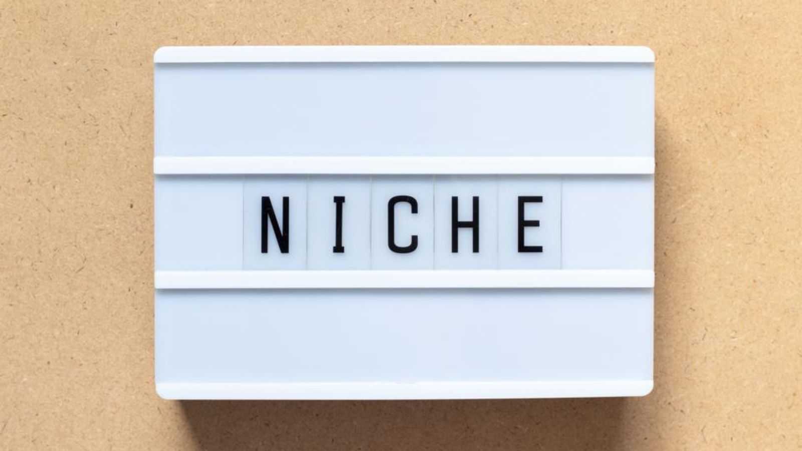 socinator_niche