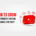Grow And Promote YouTube - socinator