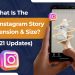 socinator_What-Is-The-Best-Instagram-Story-Dimension-&-Size-