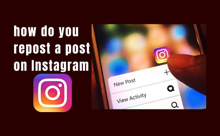 Discover how do you effectively repost a post on Instagram?