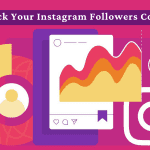 Socinator - Instagram-Followers-Count