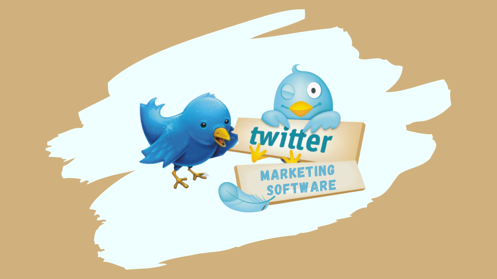 best-twitter-marketing-software