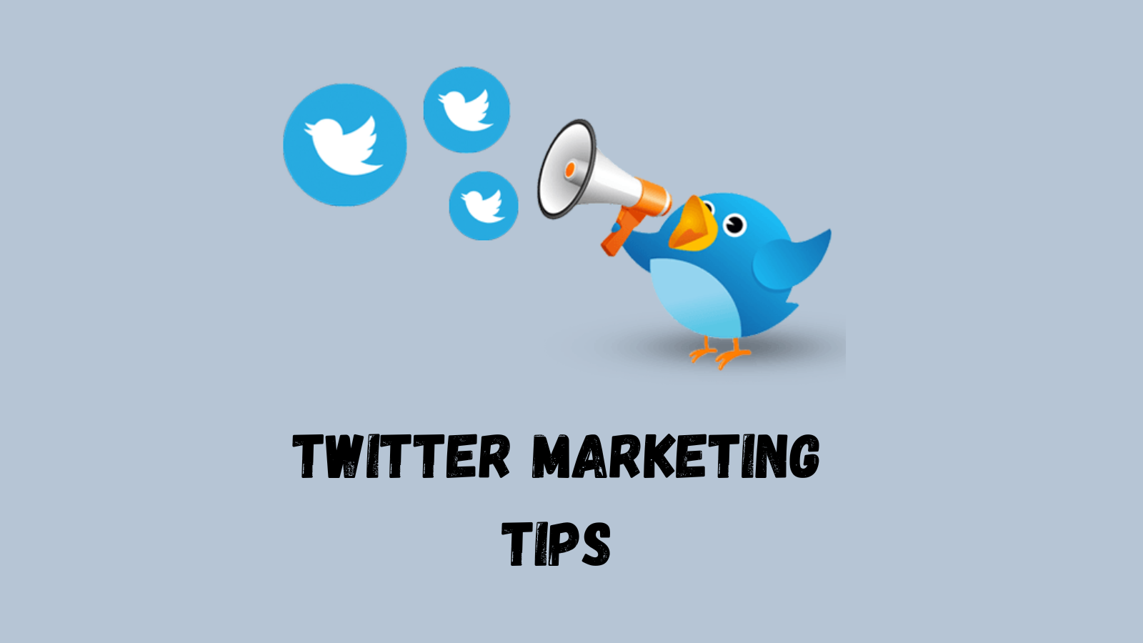 best-twitter-marketing-software