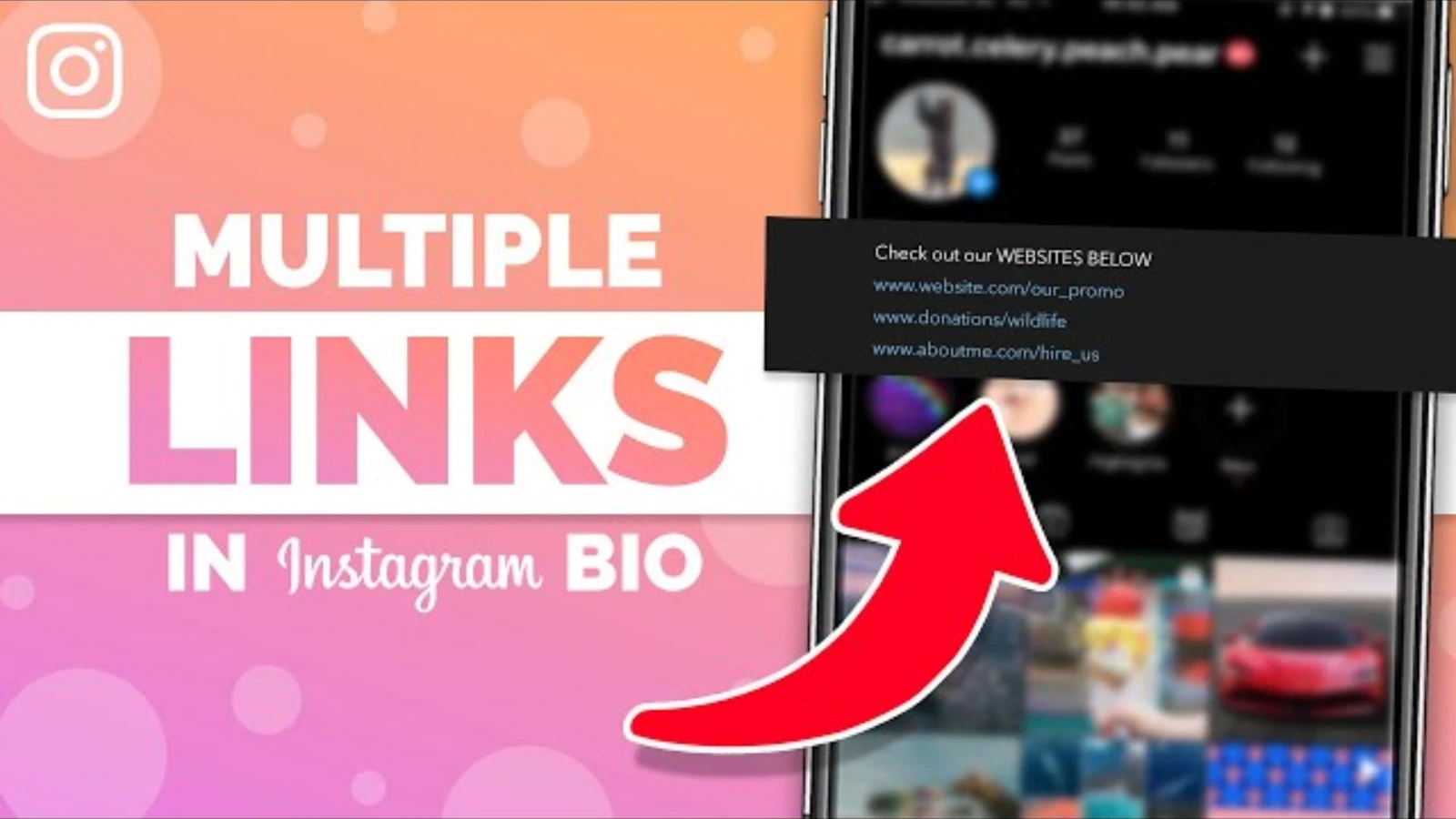 instagram-link-in-bio-multiple-links