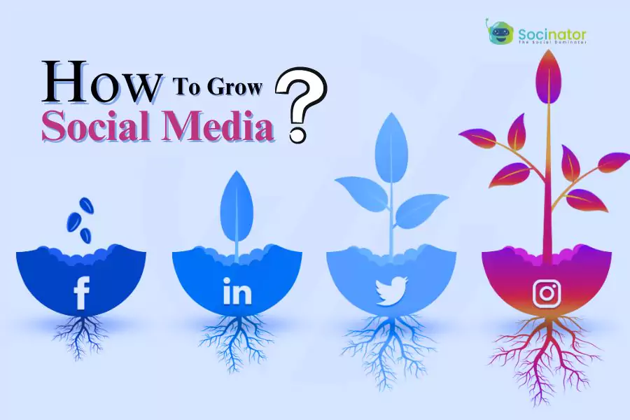 How To Grow Social Media Followers For Your Business In 2024?