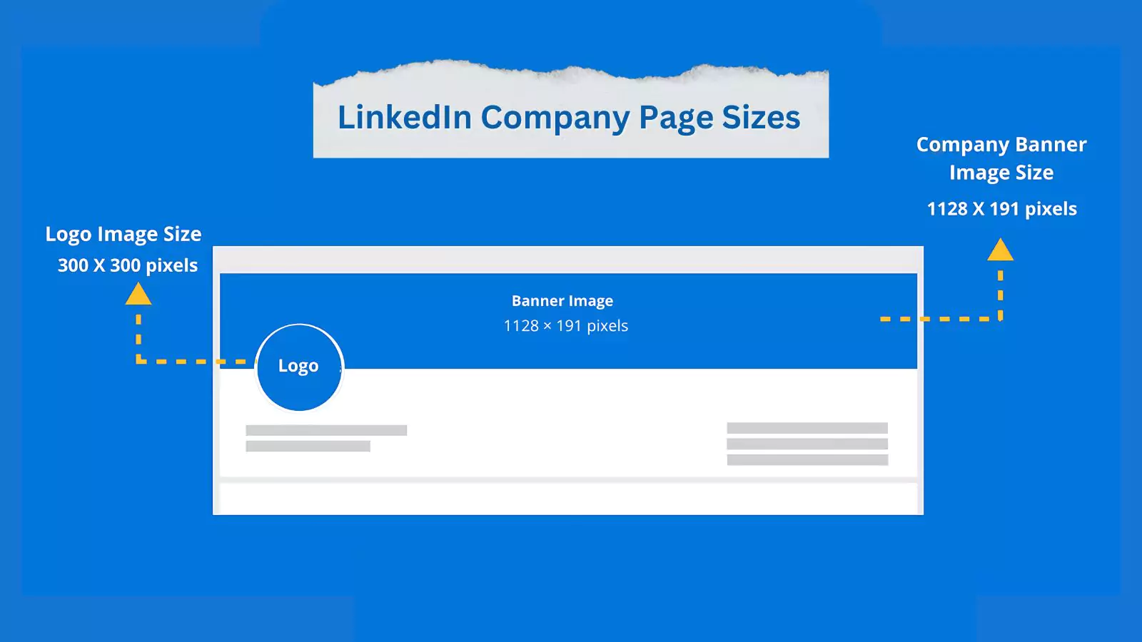 LinkedIn Company Page Sizes