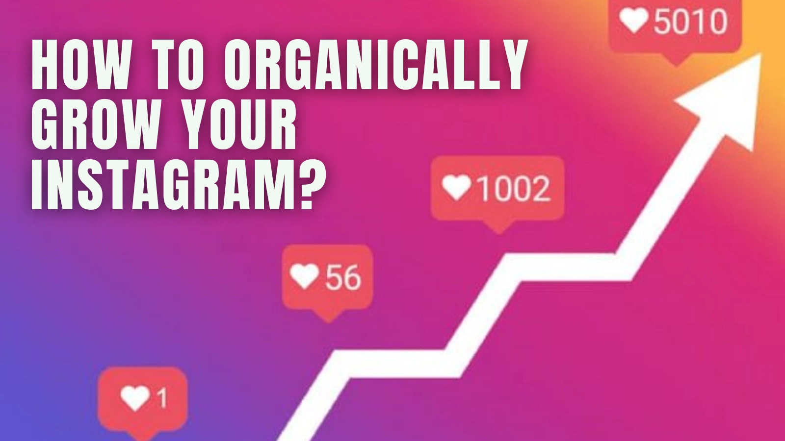 how-to-organically-grow-on-Instagram