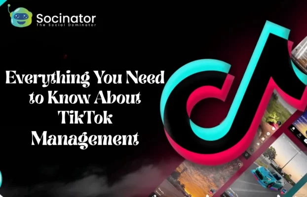 Everything You Need to Know About TikTok Management