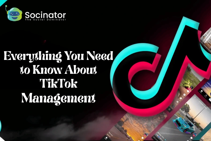 Everything You Need to Know About TikTok Management