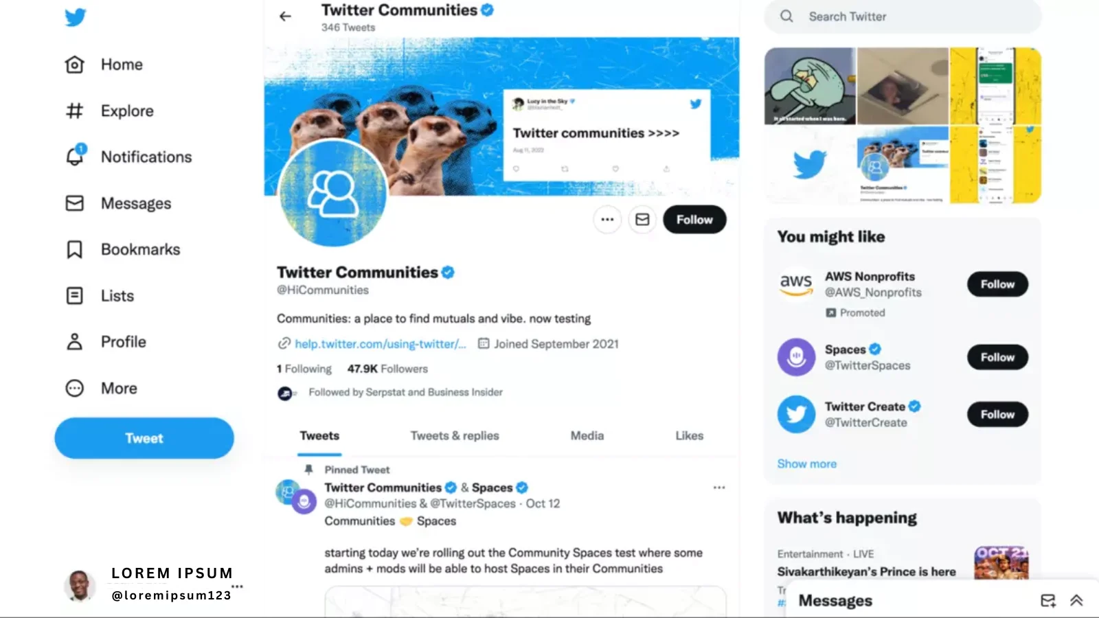 understanding-twitter-communities