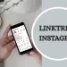 how-to-add-linktree-to-instagram