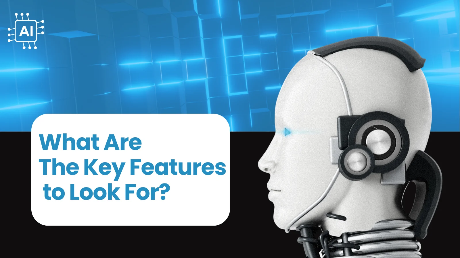 What-Are-The-Key-Features-to-Look-For