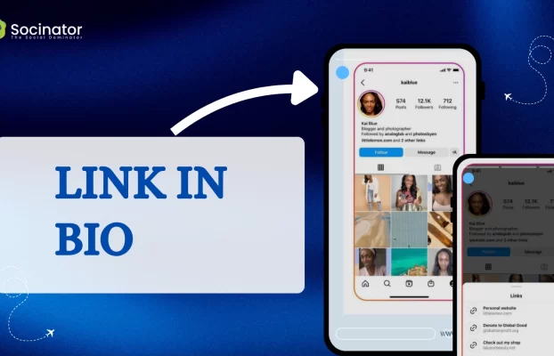 How To Use The Link In Bio To Drive More Traffic (2025)?