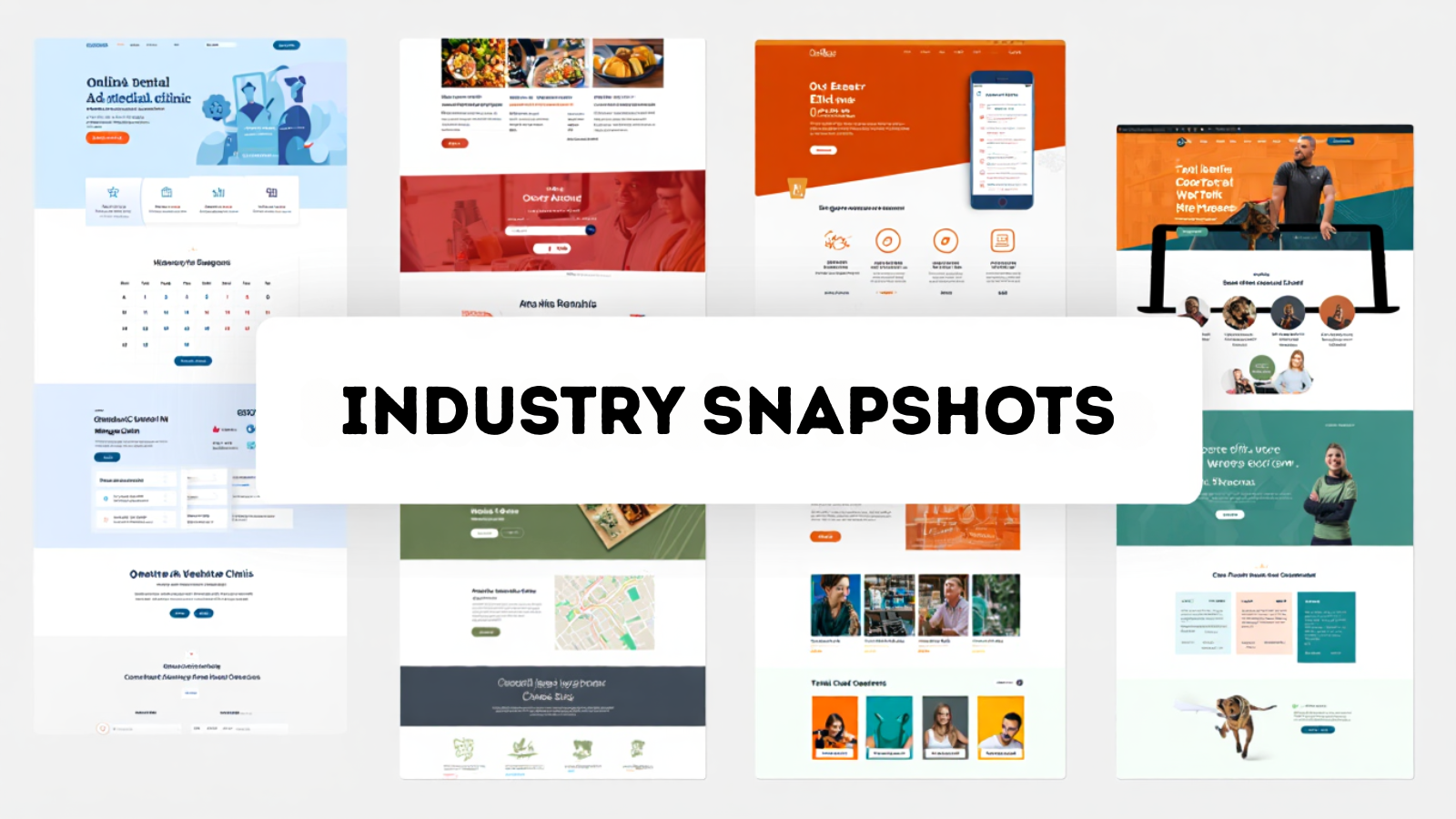industry-snapshots