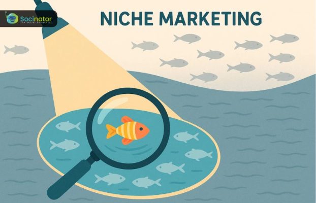 What Is Niche Marketing? How To Find Your Perfect Niche Market?