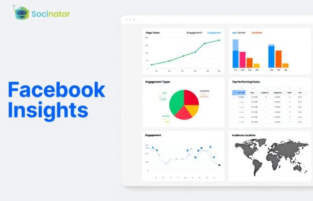 Facebook Insights: How to Use It to Grow Your Page?